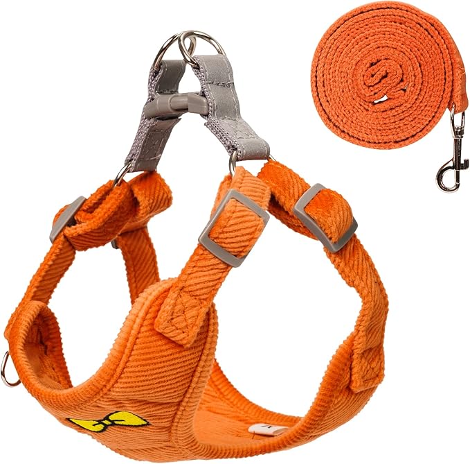 No Pull Dog Harness with Leash Pet Soft Vest Harness and Leash Set Dog Cat No Choke Escape Proof Harness Reflective Step in Harness for Small Medium Dogs Cats (Orange, Medium)