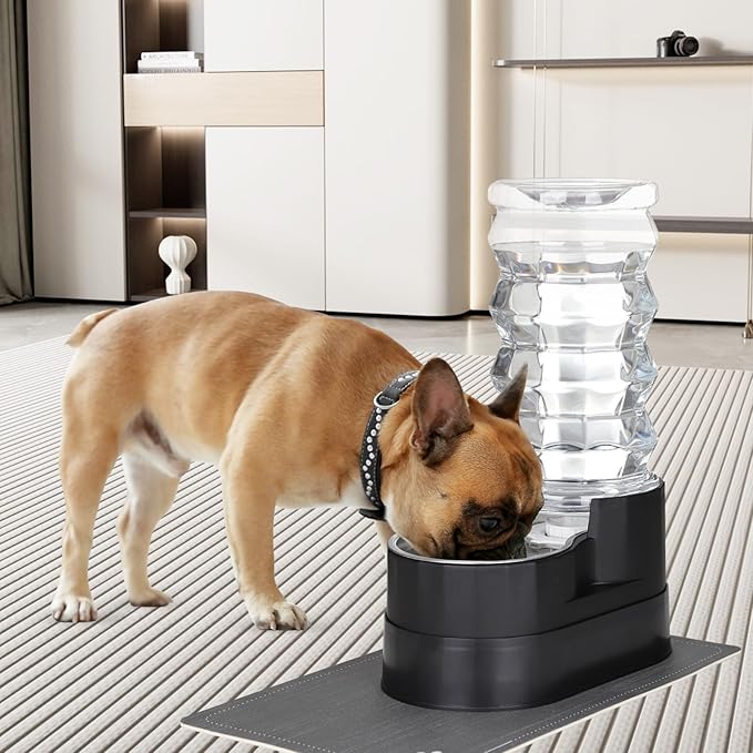 RIZZARI 8L Raised Automatic Pet Waterer, Gravity fed Stainless Steel Waterer, 100% BPA Free, Large Capacity Feeder for Cats and Medium to Large Dogs (Black,8L)