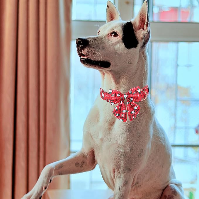 MR. CHUBBYFACE Christmas Santa Dog Collar with Bow, Red and Green Christmas Dog Collars with Quick Release Buclke, Cute Adjustable Collars for Small Medium Large Dogs