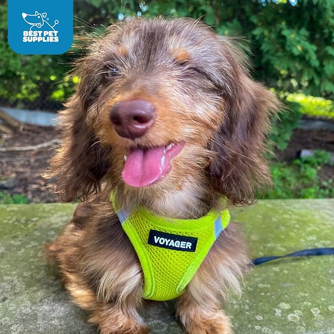 Voyager Step-in Air Dog Harness - All Weather Mesh, Reflective, No Pull Harness for Small, Medium Dogs, Cats - Secure with Hook & Loop Fastener, Buckle, Double D-Rings - Lime Green, XXS