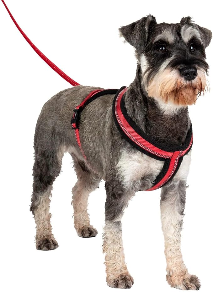 HALTI Comfy Harness - Lightweight, Fleece-Lined, Reflective & Adjustable Dog Harness, Front & Back Ring for a Dog Leash, Great for Puppy Walks. Suitable for Small Dogs and Puppies (Size X-Small)