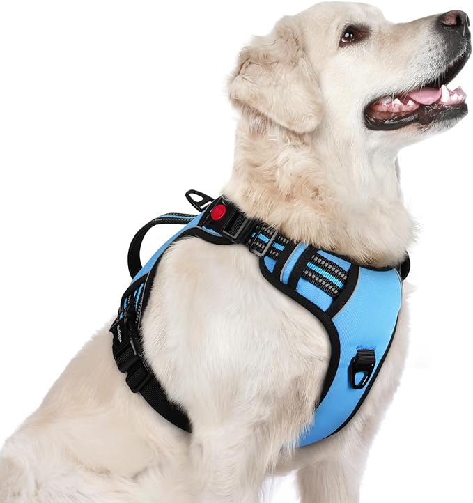 rabbitgoo Dog Harness for Large Dogs, No Pull Pet Harness with Soft Padded Handle, Adjustable Reflective Vest with 3 Buckles, Easy Walking Harness with 2 Leash Clips, Light Blue, L