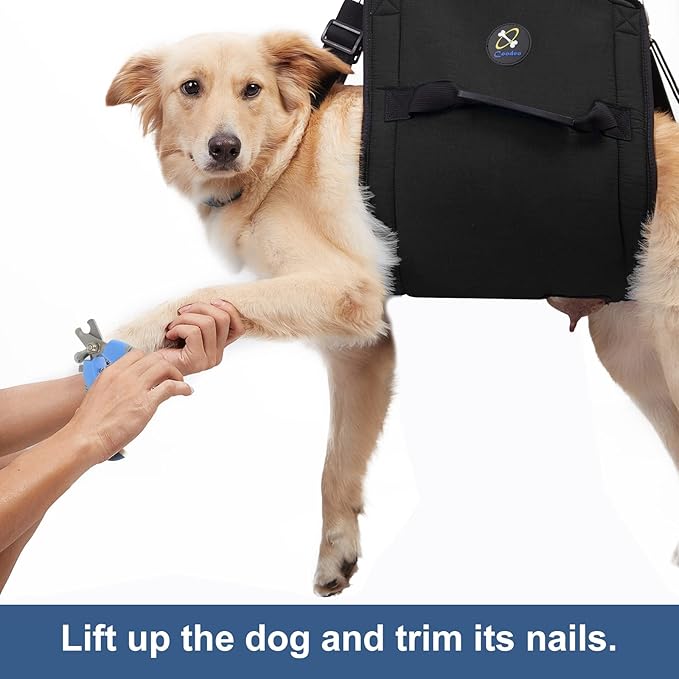 Dog Carry Sling, Emergency Backpack Pet Legs Support & Rehabilitation Dog Lift Harness for Nail Trimming, Dog Carrier for Senior Dogs Joint Injuries, Arthritis, Up and Down Stairs(M, Black)