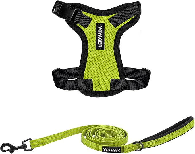 Voyager Step-in Lock Adjustable Cat Harness w. Cat Leash Combo Set with Neoprene Handle 5ft - Supports Small, Medium and Large Breed Cats by Best Pet Supplies - Lime Green/Black Trim, XXS