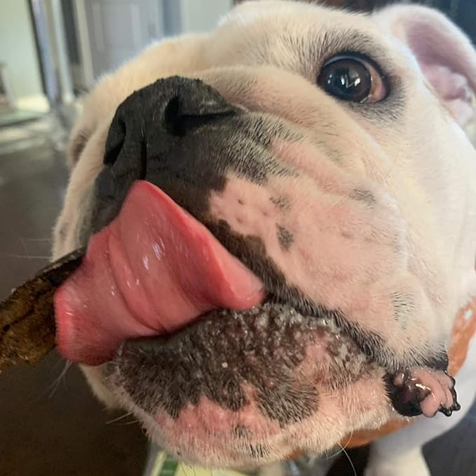 Tail Mix – Dog Treats Made in USA Only – All Natural Beef Bites – 1 Ingredient Grain Free Assortment – Beef Lung, Trachea and Spleen – Dog Treats for Training, 8 Ounces