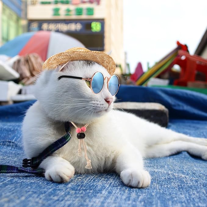 Weewooday 6 Pieces Dog Cat Costume, Pet Sunglasses and Summer Straw Hat with Faux Gold Chain Collar, Classic Funny Pet Accessories for Cat Puppy Small Medium Dog(Cool Style,Stylish Colors)