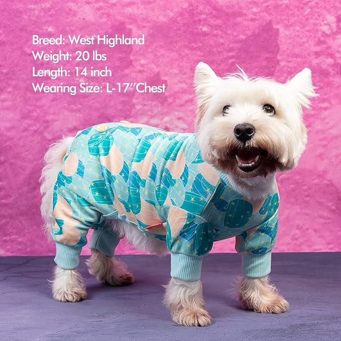 KYEESE Dog Pajamas Soft Dogs Clothes Pet Coat Velvet Dog Pajamas Small Sized Dogs Comfy Doggie Jammies Onesie Stretchy Doggie Pjs Pet Costume with Cactus Pattern, Small