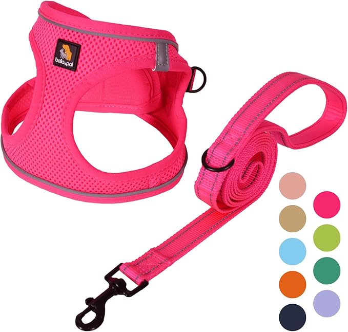 BELLA & PAL Puppy Harness with Leash Set, Dog Harness for Small Dogs No Pull, Dog Leash for Small Dogs, Step in Harness for Extra Small Dogs, Hot Pink Harness, L
