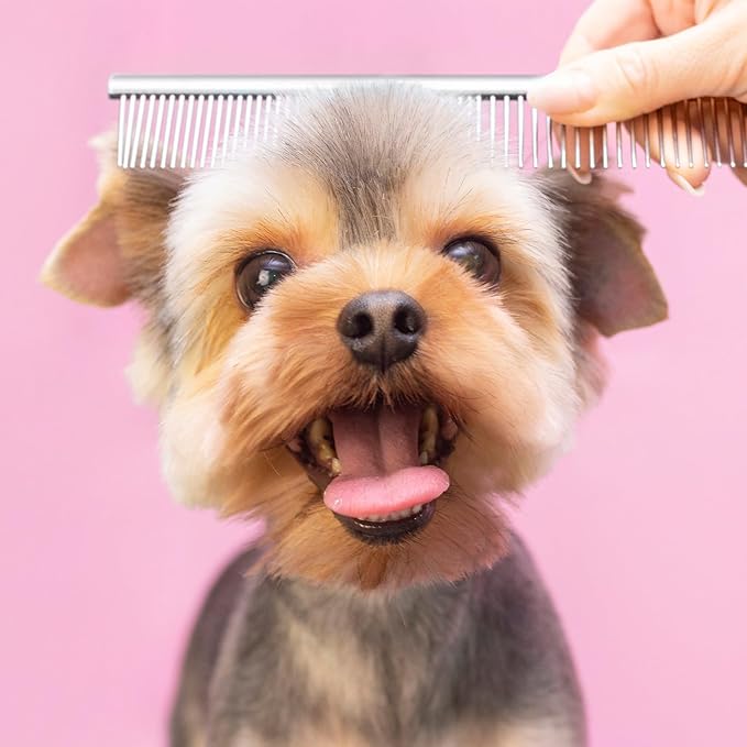 2pcs Dog Grooming Combs for Removing Tangles, Round Teeth Metal Cat Pet Hair Comb, Silver Large Professional Grooming Tool for Long Short Haired Dogs Cats Rabbits