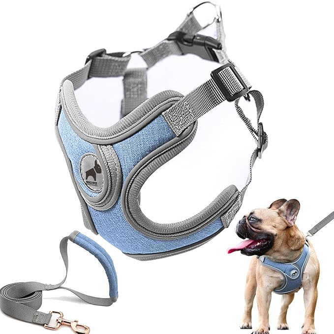 Dog Harness with Leash Set, No Pull Adjustable Step in Dog Collars Harness with Breathable Padded Vest Harness for Small Medium Large Dogs Training and Running(M, Blue)