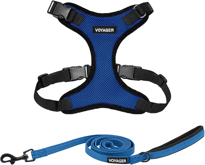 Voyager Step-in Lock Dog Harness w Reflective Dog Leash Combo Set with Neoprene Handle 5ft - Supports Small, Medium and Large Breed Puppies/Cats by Best Pet Supplies - Royal Blue/Black Trim, L