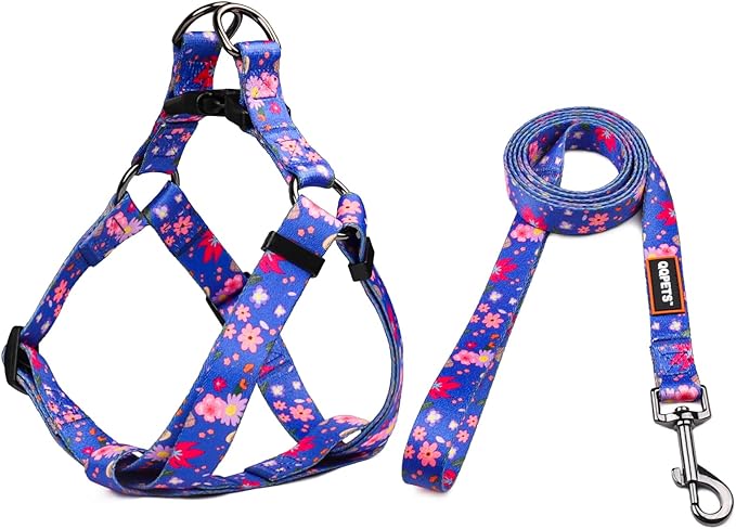 QQPETS Dog Harness Leash Set Adjustable Heavy Duty No Pull Halter Harnesses for Small Medium Large Breed Dogs Back Clip Anti-Twist Perfect for Walking (M(19"-26" Chest Girth), Cornflower Blue)