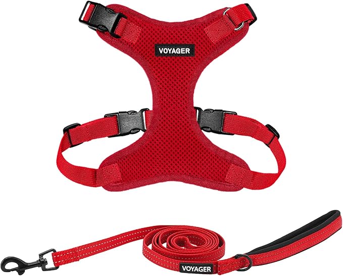 Voyager Step-in Lock Dog Harness w Reflective Dog Leash Combo Set with Neoprene Handle 5ft - Supports Small, Medium and Large Breed Puppies/Cats by Best Pet Supplies - Red, XS