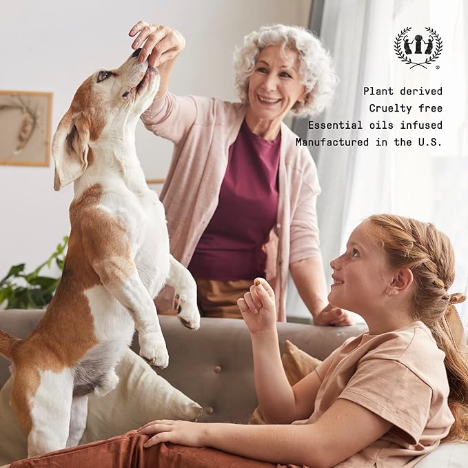 Muse Apothecary Pet Ritual Aromatic Waterless Shampoo for Pets - No Rinse Dog Shampoo - Waterless Shampoo for Cats - Waterless Dog Shampoo for Large Dogs - Essential Oils Infused, 16oz Lavender Fields