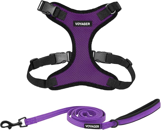 Voyager Step-in Lock Dog Harness w Reflective Dog Leash Combo Set with Neoprene Handle 5ft - Supports Small, Medium and Large Breed Puppies/Cats by Best Pet Supplies - Purple/Black Trim, XS