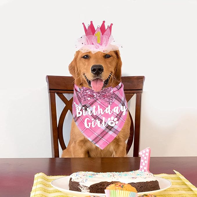 Dog Birthday Party Supplies, Multi Sizes Dog Birthday Hat Crown with Numbers Bandana Girl Bow Tie for Medium Large Dogs Pets (Pink, Large)