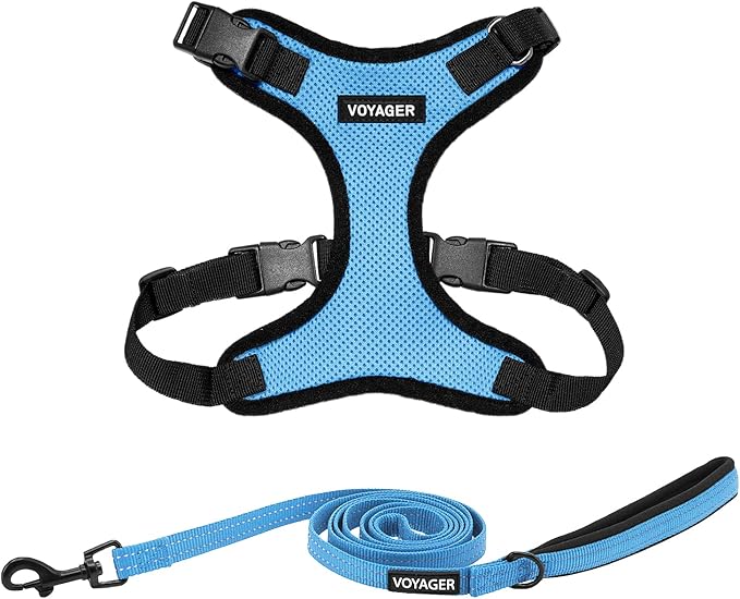 Voyager Step-in Lock Dog Harness w Reflective Dog Leash Combo Set with Neoprene Handle 5ft - Supports Small, Medium and Large Breed Puppies/Cats by Best Pet Supplies - Baby Blue/Black Trim, XL