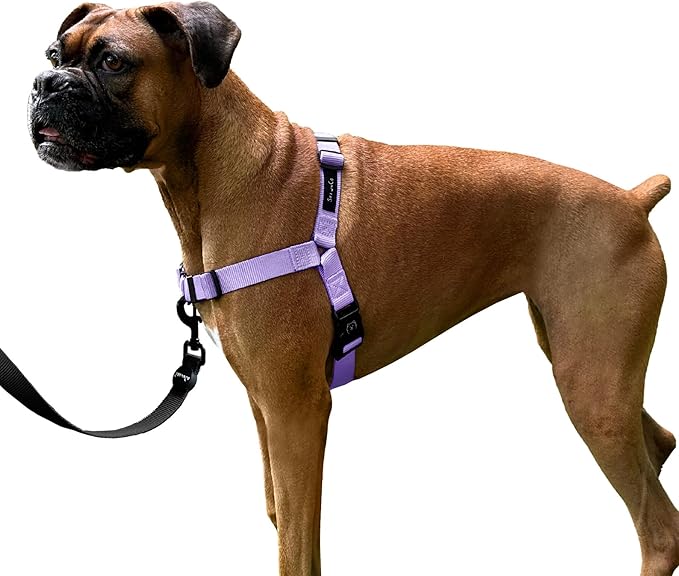 ShawnCo Dream Walk No-Pull Dog Harness- Adjustable, Comfortable, Easy to Use Pet Halter to Help Stop Pulling for Small, Medium and Large Dogs (ICY Lilac, XL)