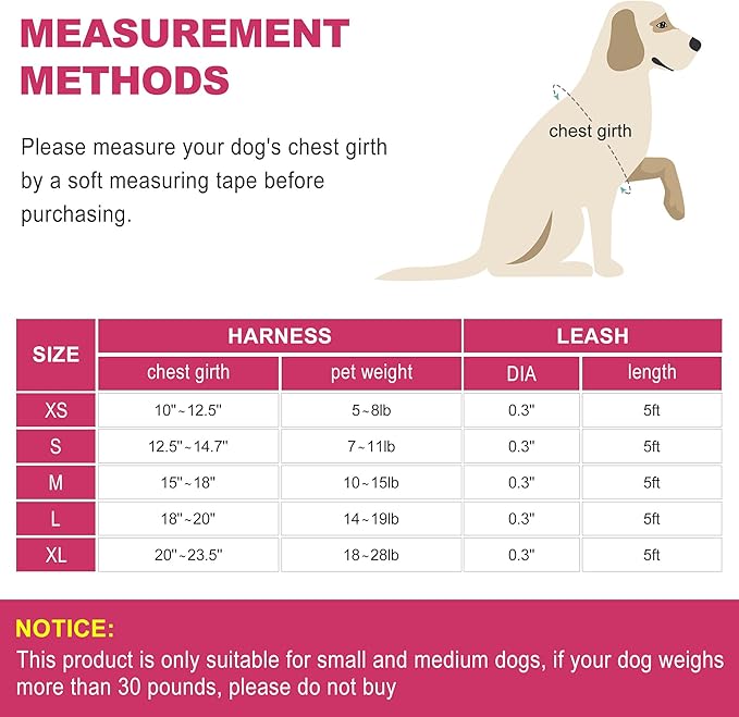 haapaw Dog Harness with Leash Set, No Pull Adjustable Reflective Step-in Puppy Harness with Thickened Padded Vest for Extra-Small/Small Medium Dogs
