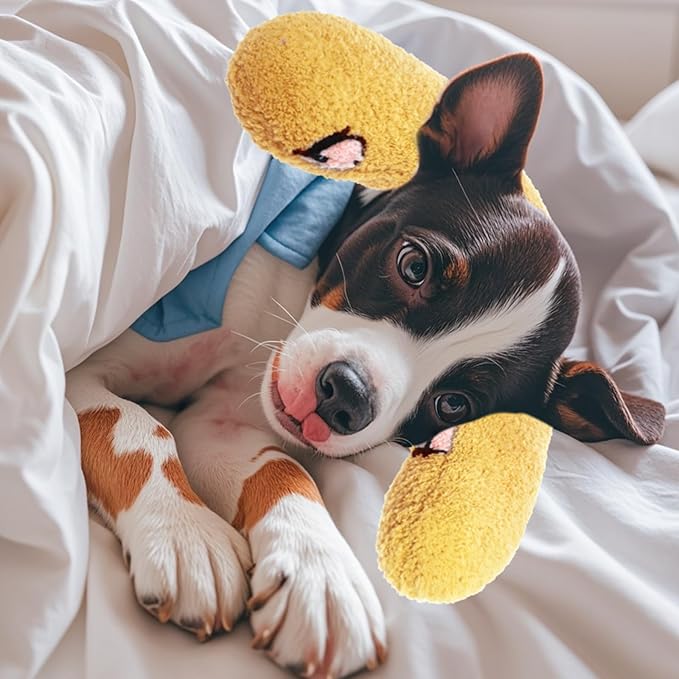 Lystaii Cat Pillow for Indoor Pet Cat Dog Calming Pillow Soft Fluffy Cat Bed Pillow Dog Neck Pillow Pet Toy Half Donut Anxiety Relief Pet Pillow with Cute Embroidery Pattern (Yellow, Peaches)