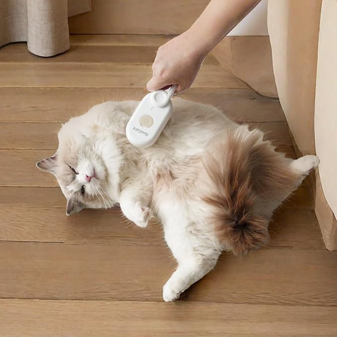 Gen 2 3-in-1 Cat Steam Brush for Shedding, Pet Hair Removal Water Comb, Spray Cat Grooming Brush for indoor Haired Cats, Dogs, Rabbits (Beige)