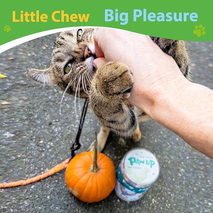 Freeze Dried Chicken for Dogs Cats, High Protein Raw Dog Food Topper, Single Fresh Ingredient Treats, 4.6oz, Rawhide Free