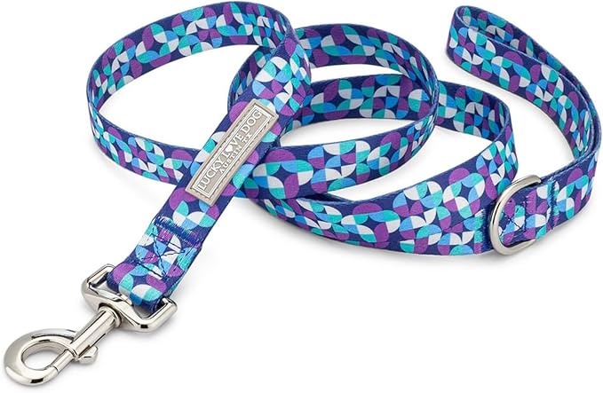 Lucky Love Dog, Blue and Purple Mosaic Plaid Martingale Dog Collar and Leash Set, Premium No Slip Dog Collar and Leash Set, Martingale Collar for Male Female Dogs - (Medium, Jasper Mart - Combo)