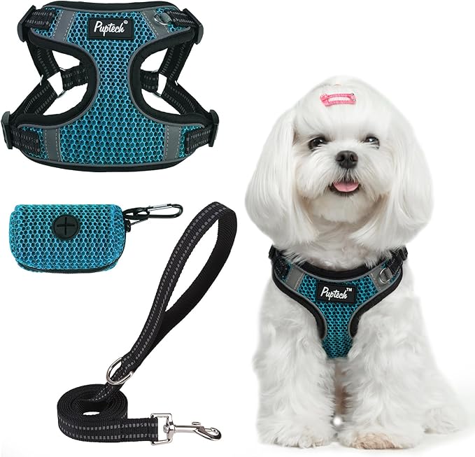 PUPTECK No Pull Dog Harness and Leash Set Reflective No Choke Step in Puppy Halter for XS Small and Medium Sized Dogs, Turquoise, Breathable Mesh, XS