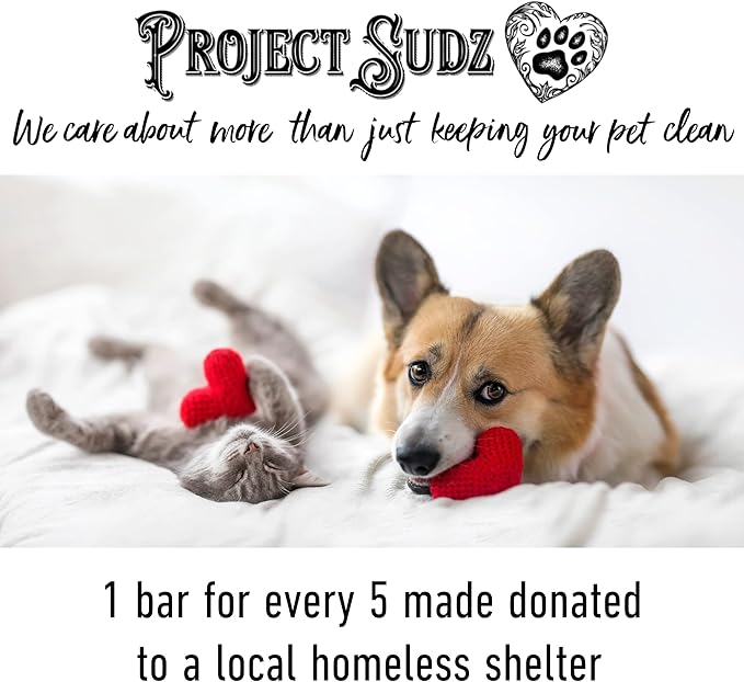 Activated Charcoal Organic Bar Shampoo for Dogs | Odor Eliminating Dog Shampoo Bar (1)