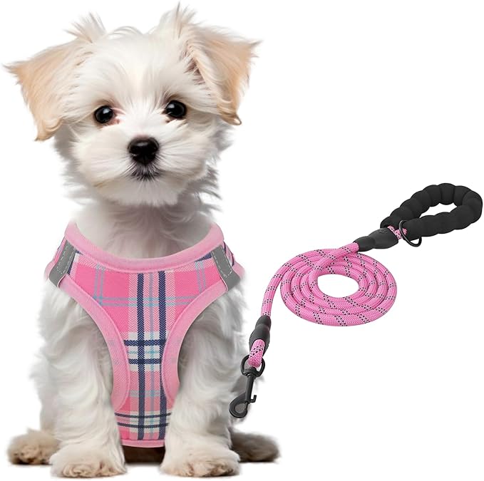 Athena Collection Small Dog Harness with 5 ft Leash, Step-in Dog Harness Leash Set Extra Small No Pull Dog Vest Harness with Reflective Strips Adjustable Velcro, Easy Walk Puppy Harness, Pink