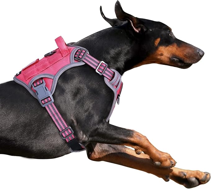 BUMBIN Tactical Dog Harness for Small Dogs No Pull, Famous TIK Tok No Pull Puppy Harness, Fit Smart Reflective Pet Walking Harness for Training, Adjustable Dog Vest Harness with Handle Pink XL