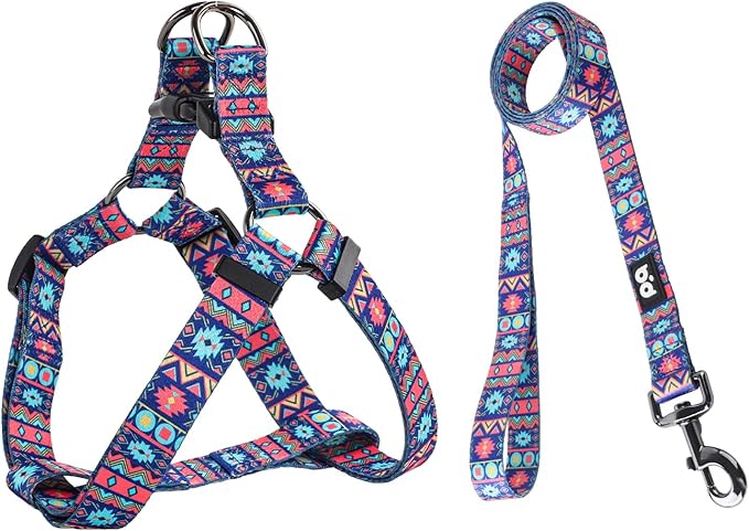 QQPETS Dog Harness Leash Set Adjustable Heavy Duty No Pull Halter Harnesses for Small Medium Large Breed Dogs Back Clip Anti-Twist Perfect for Walking