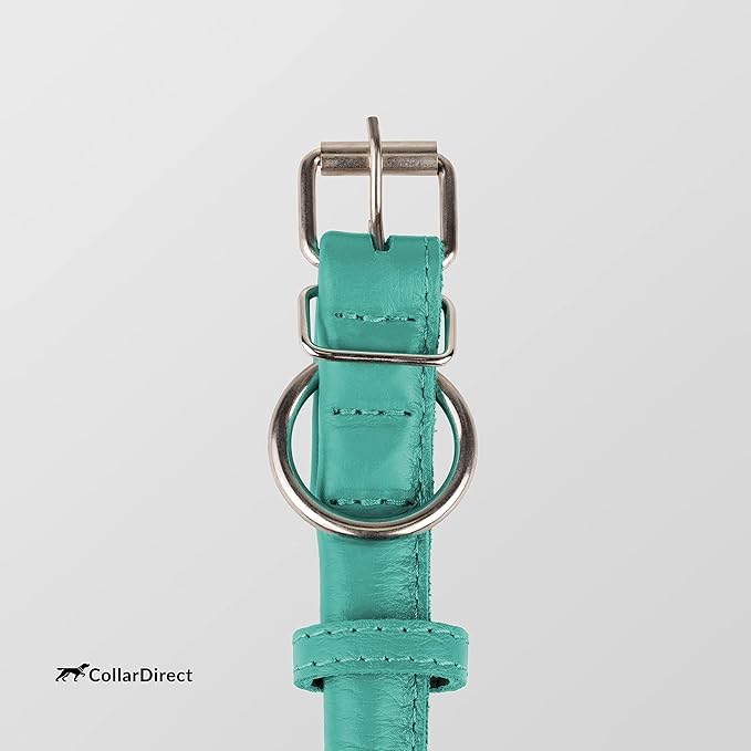 CollarDirect Rolled Leather Dog Collar, Soft Padded Round Puppy Collar, Handmade Genuine Leather Collar Dog Small Large Cat Collars 13 Colors (18-22 Inch, Mint Green Textured)