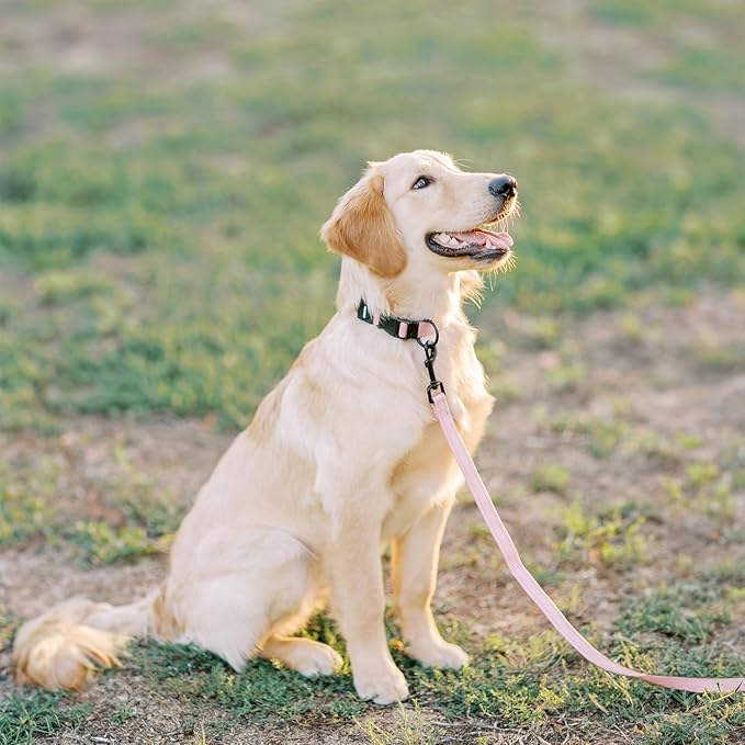 Voyager Reflective Dog Leash Collar Set with Neoprene Handle Supports Small, Medium, and Large Breed Puppies, Cute and Heavy Duty for Walking, Running, and Training - Pink, S