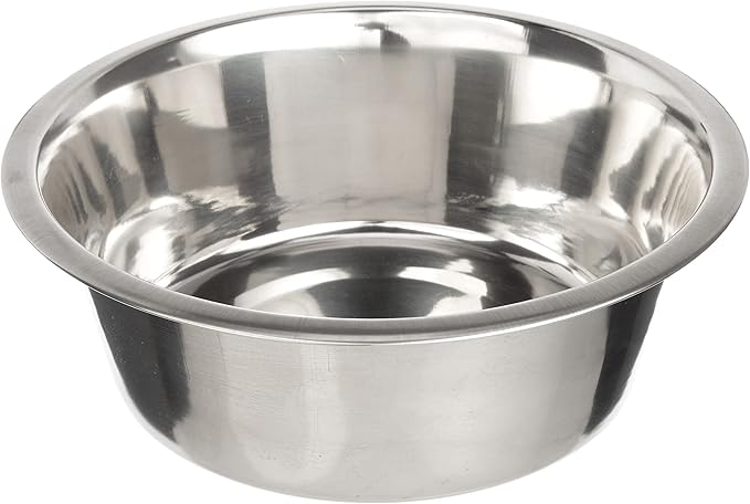 Neater Pet Brands Stainless Steel Dog and Cat Bowls - Extra Large Metal Food and Water Dish (12 Cup)
