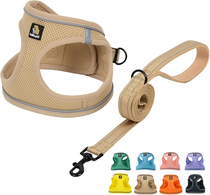 BELLA & PAL Puppy Harness with Leash Set, Dog Harness for Small Dogs No Pull, Dog Leash for Small Dogs, Step in Harness for Extra Small Dogs, Khaki Harness, XS