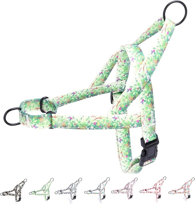 No Pull Dog Harness for Small, Medium, and Large Pets - Floral Pattern Nylon Safety Training Dog Harness (XS, Grass)