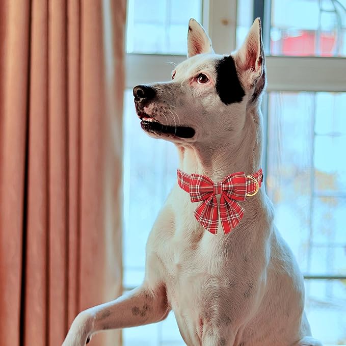 MR. CHUBBYFACE Christmas Red Plaid Dog Collar with Sailor Bow, Adjustable Cotton Christams Dog Collar with Metal Buckle, Cute Boy Girl Pet Collars for Small Medium Large Dogs