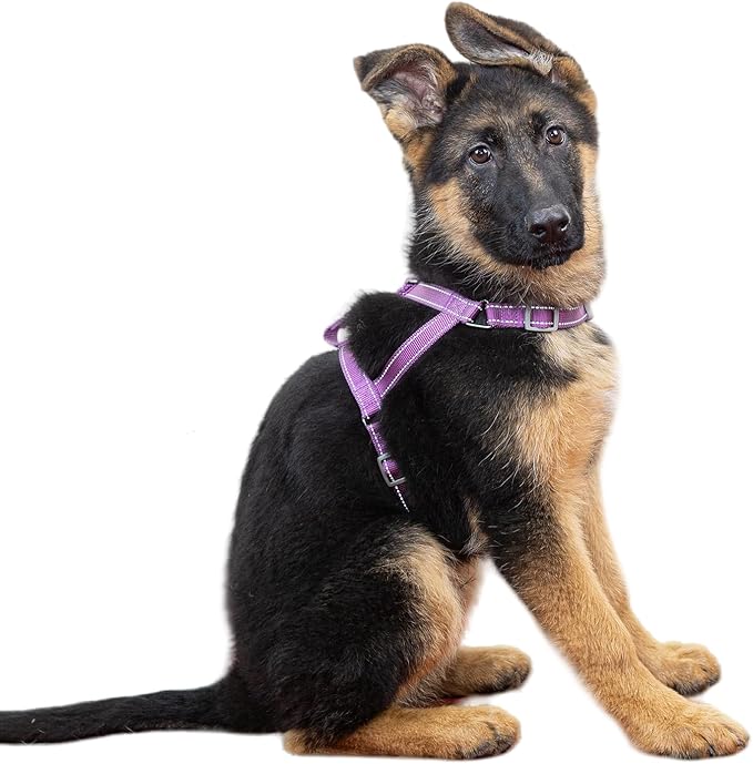 SATSUN Dog Harness Medium Sized Dog, No Pull Dog Harness with 2 Adjustable Points & 1 Leash Clip, Reflective Comfortable Dog Vest with Easy Control Handle Ideal for Walking and Training, Purple,M