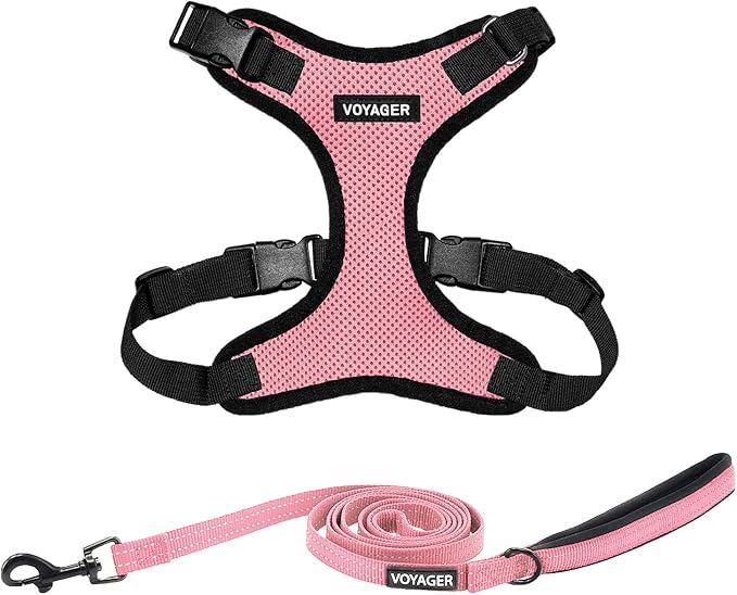 Voyager Step-in Lock Dog Harness w Reflective Dog Leash Combo Set with Neoprene Handle 5ft - Supports Small, Medium and Large Breed Puppies/Cats by Best Pet Supplies - Pink/Black Trim, S