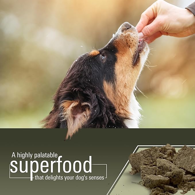 Freeze Dried Beef Tripe Dog Treats – Raw, Single Ingredient, Grain Free, Natural & Organic Treats for Dogs & Cats