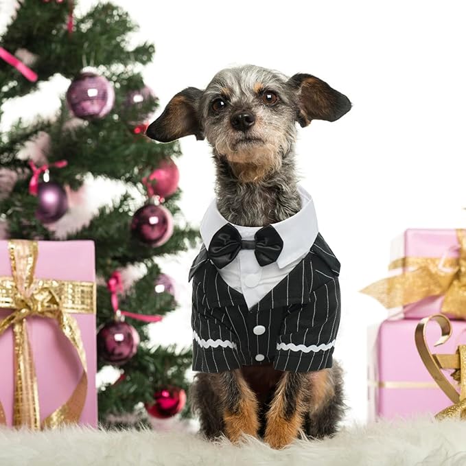DENTRUN Dog Tuxedo Suit with Bow Tie - Formal Black & White Striped Pet Costume Shirt, Elegant Wedding Outfit Birthday Party Attire for Maltese Dachshund Yorkie Puppies Shih Tzu Small Medium Dogs, M