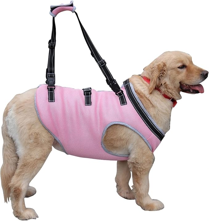 Dog Lift Harness, Recovery Sling Support Vest Stair Lift for Front Legs Only, Mobility Carrier with Handle for Senior, Elderly, Disabled, Joint Injuries, Arthritis, Paralysis- Large