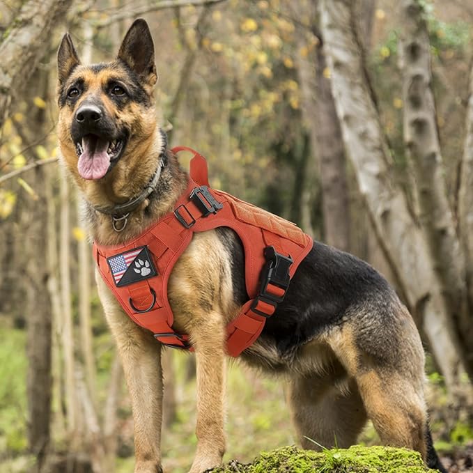 rabbitgoo Tactical Dog Harness for Large Dogs, Heavy Duty Dog Harness with Handle, No-Pull Service Dog Vest Large Breed, Adjustable Military Dog Vest Harness for Training Hunting Walking, Orange, XL