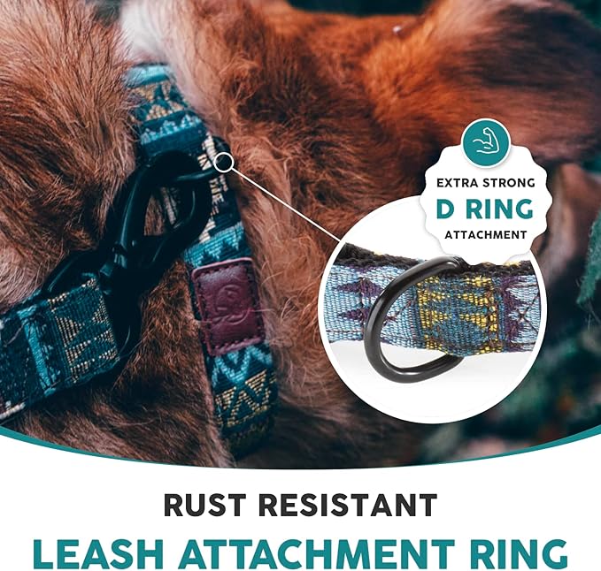 Embark Urban Dog Collar – Dog Collar Stylish & Durable Nylon Dog Collar for Large Dogs, Small Dogs & Medium Dogs.Comfortable Pet Collar Strong Buckles for Any Size Breed (Azure, Medium)