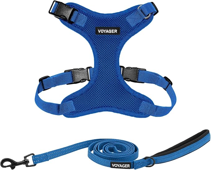 Voyager Step-in Lock Dog Harness w Reflective Dog Leash Combo Set with Neoprene Handle 5ft - Supports Small, Medium and Large Breed Puppies/Cats by Best Pet Supplies - Royal Blue, S
