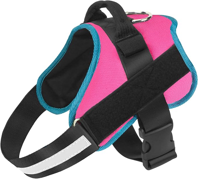 Bolux Dog Harness, No-Pull Reflective Dog Vest, Breathable Adjustable Pet Harness with Handle for Outdoor Walking - No More Pulling, Tugging or Choking X-Small (Pack of 1) RoseTurquoise