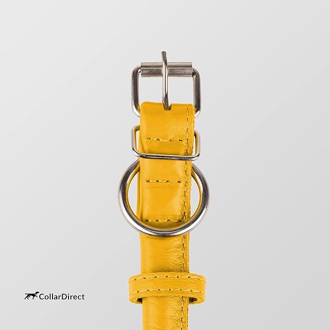 CollarDirect Rolled Leather Dog Collar, Soft Padded Round Puppy Collar, Handmade Genuine Leather Collar Dog Small Large Cat Collars 13 Colors (6-7 Inch, Yellow Textured)