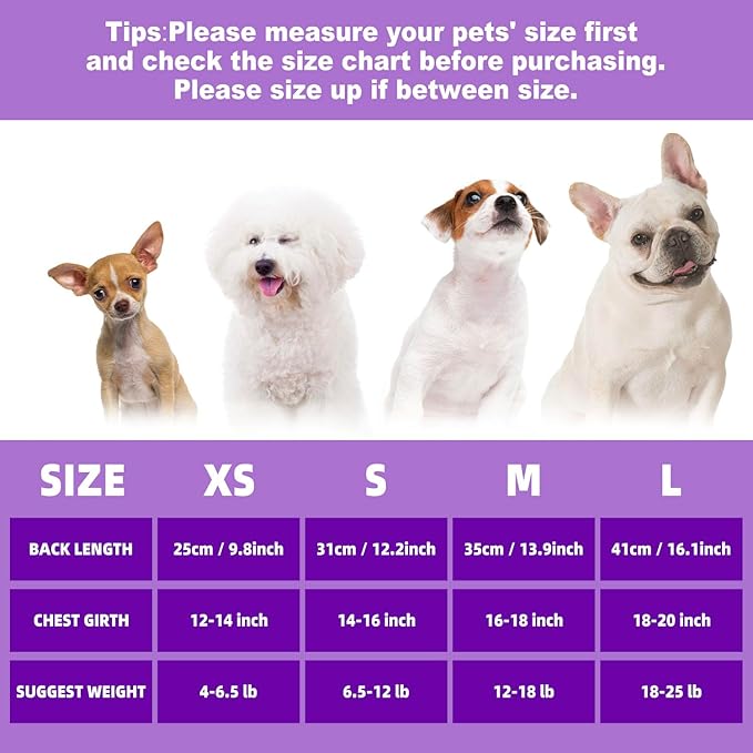 Funny Puppy Dress with Bow - Small & Large Dog Halloween Costume: Pumpkin Witch Bat Pet Dress, I'm The Good Witch (X-Small)