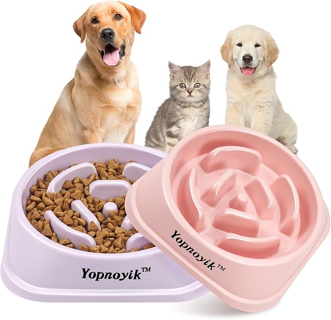 2 Pack Slow Feeder Dog Bowls for Healthy Eating, Non-Slip and Anti-Choking Design, Reduces Bloating & Overeating for Small & Medium Dogs and Cats, Easy to Clean